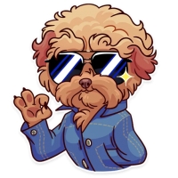 Memes Dog