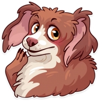 Memes Dog