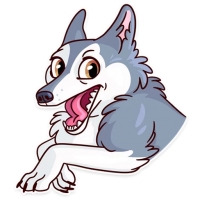 Memes Dog