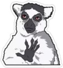 Memes by NVR