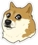 Memes by NVR