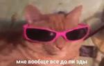 мєми про жівотних 2.0