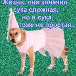 мєми про жівотних 2.0