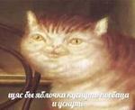 мєми про жівотних 2.0