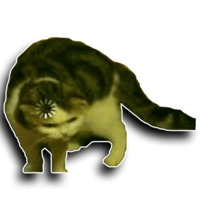 Мемы