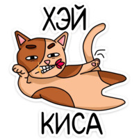 Котики чмоки