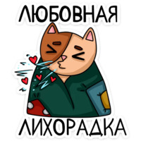 Котики чмоки
