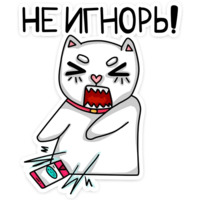 Котики чмоки