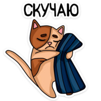 Котики чмоки