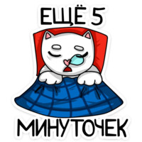 Котики чмоки
