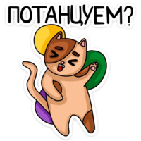 Котики чмоки