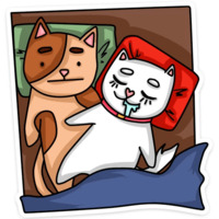 Котики чмоки