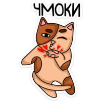 Котики чмоки