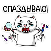 Котики чмоки