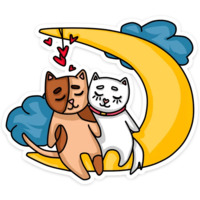 Котики чмоки