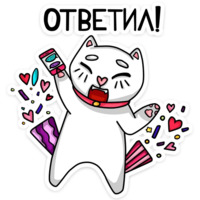 Котики чмоки