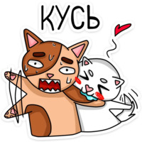 Котики чмоки
