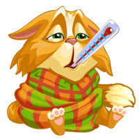 Моя кофейня