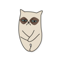 Мой воображаемый кот