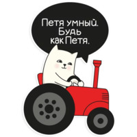Мой воображаемый кот