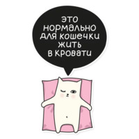 Мой воображаемый кот