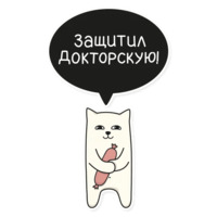 Мой воображаемый кот