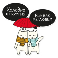 Мой воображаемый кот
