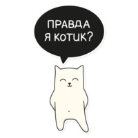 Мой воображаемый кот