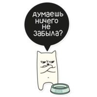 Мой воображаемый кот