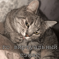 Набор стикеров Мурлыки