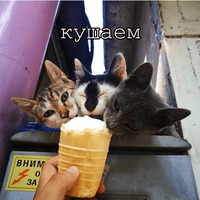Мурлыки