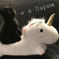Мурлыки