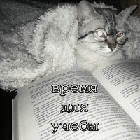 Мурлыки