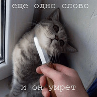 Мурлыки