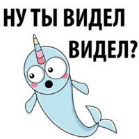 Нарвал
