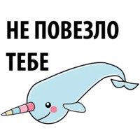 Нарвал