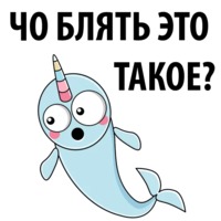 Нарвал