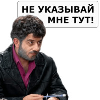 Наша Раша