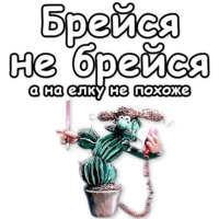 Падал прошлогодний снег