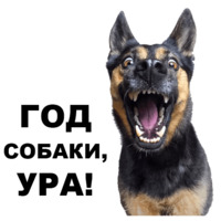 Новогодний