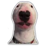 Набор стикеров animaletti