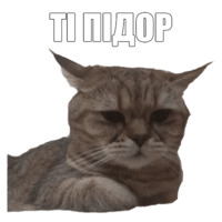 Кот Оливер