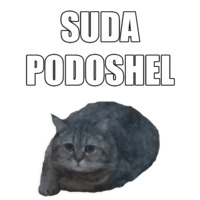 Кот Оливер