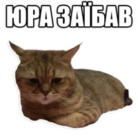 Кот Оливер