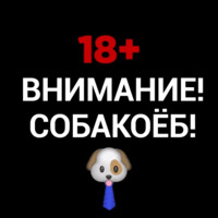 Панин Шоу
