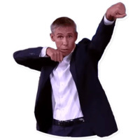 Панин Шоу