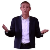 Панин Шоу
