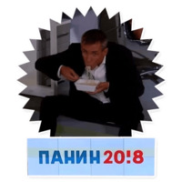 Панин Шоу