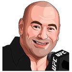 PARIMATCH + UFC