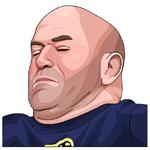 PARIMATCH + UFC